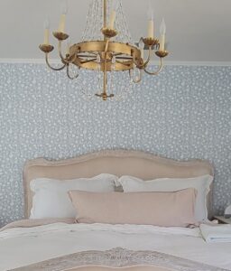 Resized_20230217_144352 2